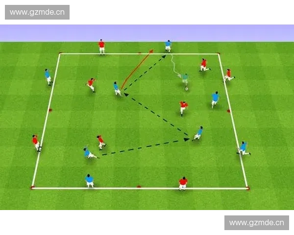 围绕足球比赛与训练用球特点深度解析应用差异全方位剖析其实用价值